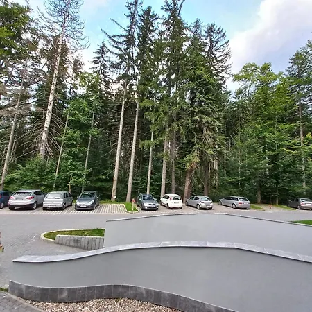 Komfortowy Orange W *